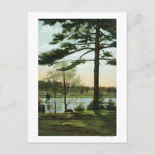 Landschaftlicher Blick auf das Kastaniengebirge Postkarte (Vorderseite)