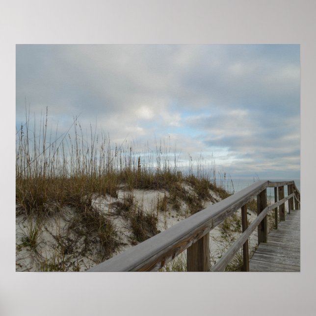 Landschaftlicher Boardwalk Florida Beach Naturfoto Poster (Vorne)