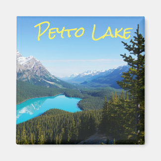 Landschaftlicher Canadian Blue Mountain Lake Pines Magnet