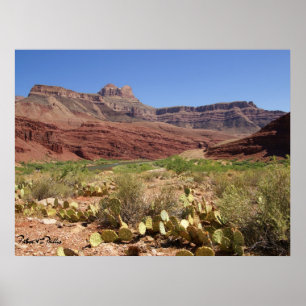 Landschaftlicher Colorado River bei Grand Canyon F Poster