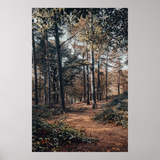 Landschaftlicher Entspannungswald Poster (Vorne)