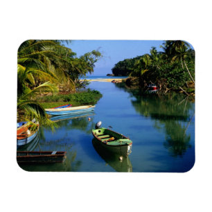 Landschaftlicher Fluss in der Nähe von Ocho Rios a Magnet