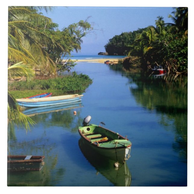 Landschaftlicher Fluss in der Nähe von Ocho Rios i Fliese (Vorderseite)