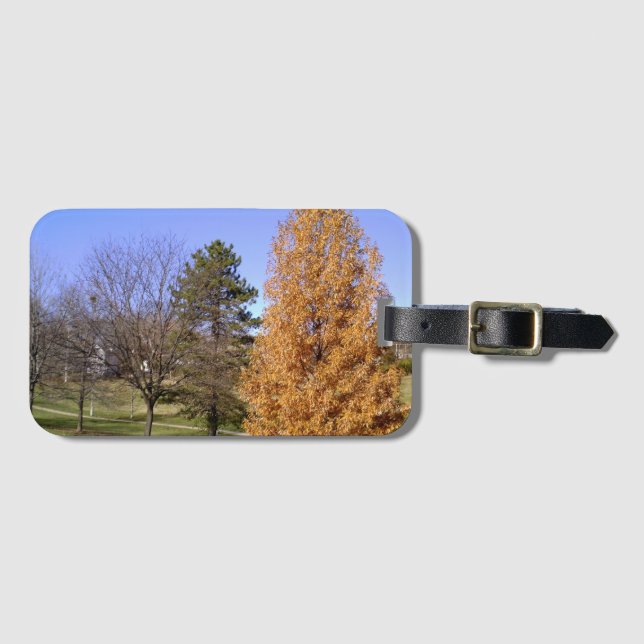 Landschaftlicher Gepäckträger mit Visitenkartenste Gepäckanhänger (Vorderseite (Horizontal))