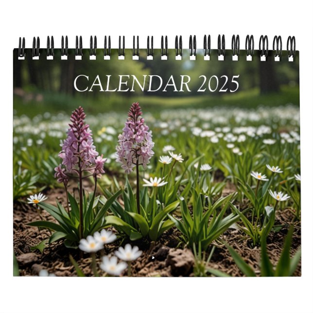 landschaftlicher Mauerkalender 2025 Kalender (Titelbild)