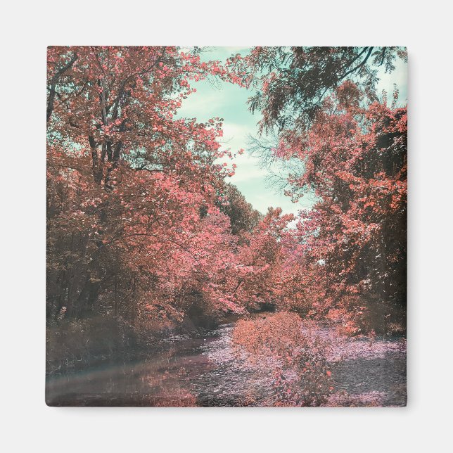 Landschaftlicher Pfad Magnet (Vorne)