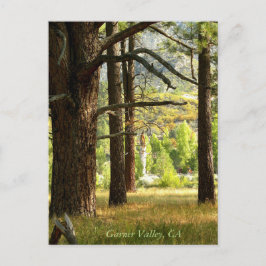 Landschaftlicher Pfad Postcatal Garner Valley, CA Postkarte