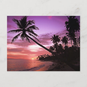 Landschaftlicher Sonnenuntergang Postkarte