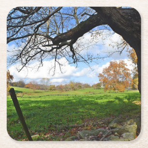 Landschaftlicher Untersetzer des Waldbestandes