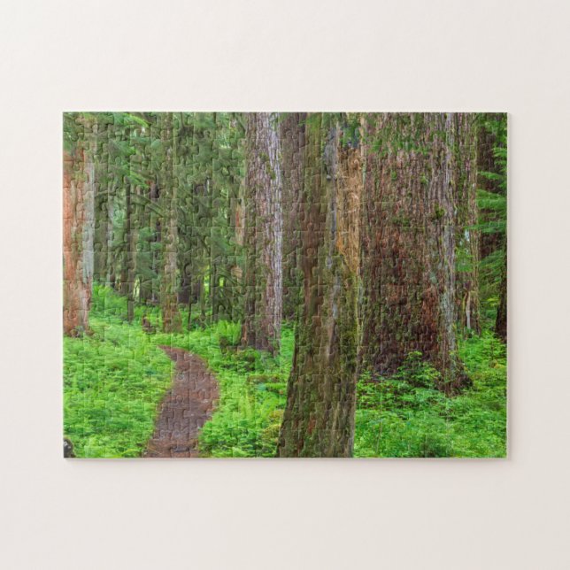 Landschaftlicher Wald Puzzle (Horizontal)