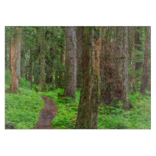 Landschaftlicher Wald Schneidebrett