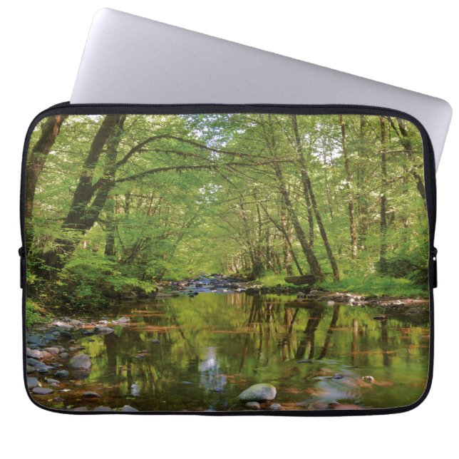 Landschaftlicher Wilson-Fluss Laptopschutzhülle (Vorderseite)