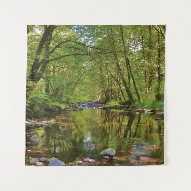 Landschaftlicher Wilson-Fluss Wandteppich (Vorderseite)