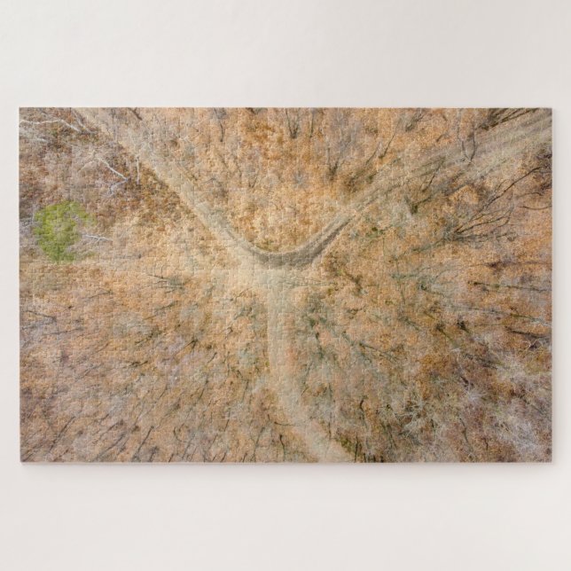 Landschaftlicher zenithaler Blick auf ein Wald Jig Puzzle (Horizontal)
