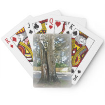 Landschaftliches Bild von zwei Bäumen zusammen