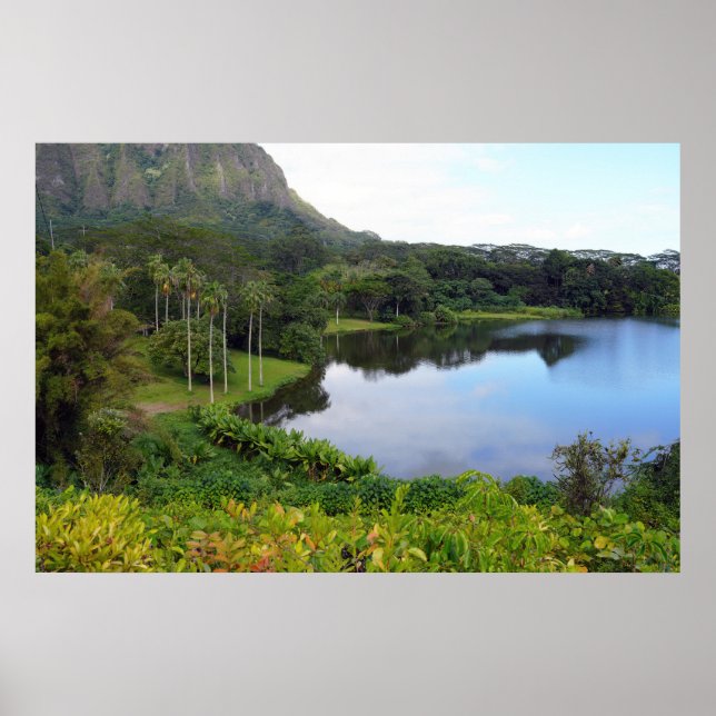 Landschaftliches Hawaiian View Poster (Vorne)