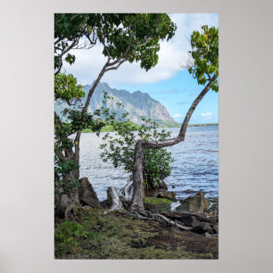 Landschaftliches hawaiianisches Küstenansicht-Post Poster