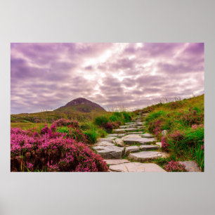 landschaftliches Irland-Plakat Poster