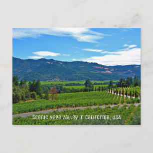 Landschaftliches Napa-Tal in Kalifornien Postkarte