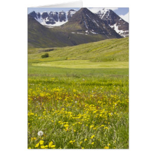 Landschaftliches Panorama des Svarfadardalur-Tals
