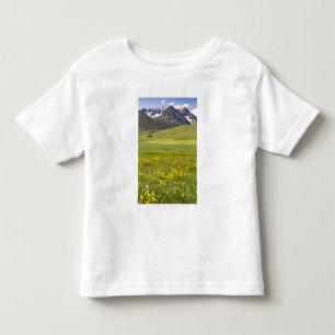 Landschaftliches Panorama des Svarfadardalur-Tals Kleinkind T-shirt