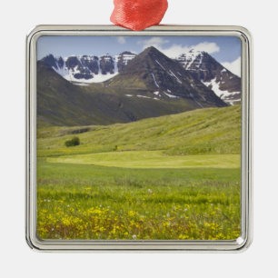 Landschaftliches Panorama des Svarfadardalur-Tals Silbernes Ornament