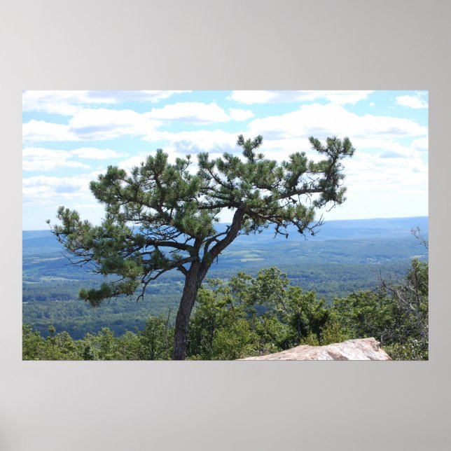 Landschaftliches Poster (Vorne)