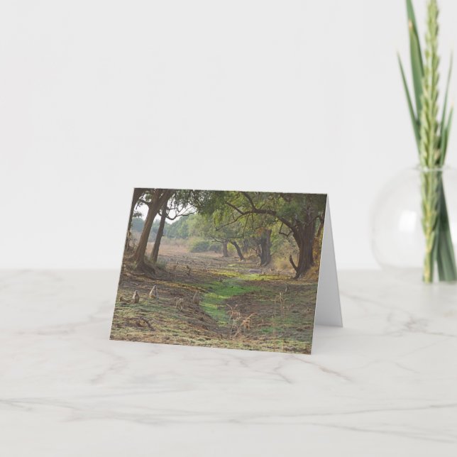 Landschaftliches Sambia-Wald Karte (Vorderseite)