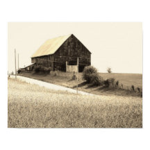 landschaftliches Stallbild