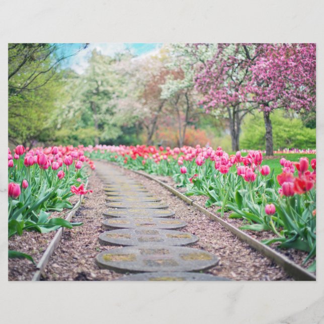 Landschaftliches Tulip Path Scrapbook (Vorderseite)