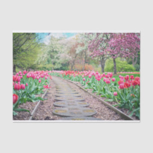 Landschaftliches Tulip Path Tissue Paper Seidenpapier