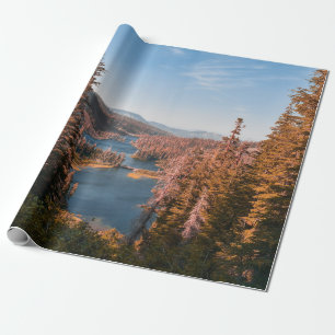LANDSCHAFTSAUFNAHME VON BÄUMEN IN DER NÄHE VON GEW GESCHENKPAPIER