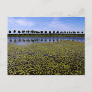 Landschaftsbild Postkarte