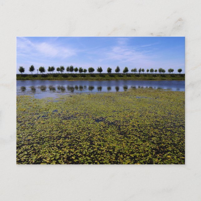 Landschaftsbild Postkarte (Vorderseite)