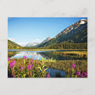 Landschaftsfoto von Alaska Postkarte