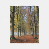 Landschaftsfotografie Herbstbäume