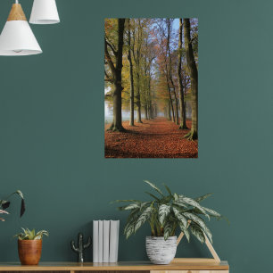 Landschaftsfotografie Herbstbäume Poster