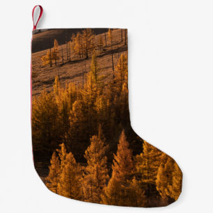 LANDSCHAFTSFOTOGRAFIE VON BÄUMEN MIT BRAUNEN BLÄTT KLEINER WEIHNACHTSSTRUMPF