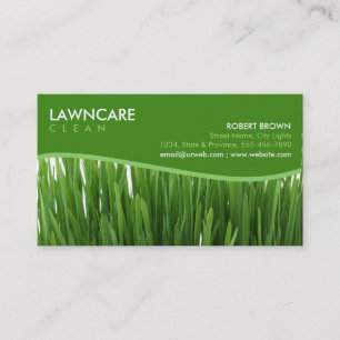 Landschaftsgestaltungs-Gärtner-Gras säubern Natu Visitenkarte