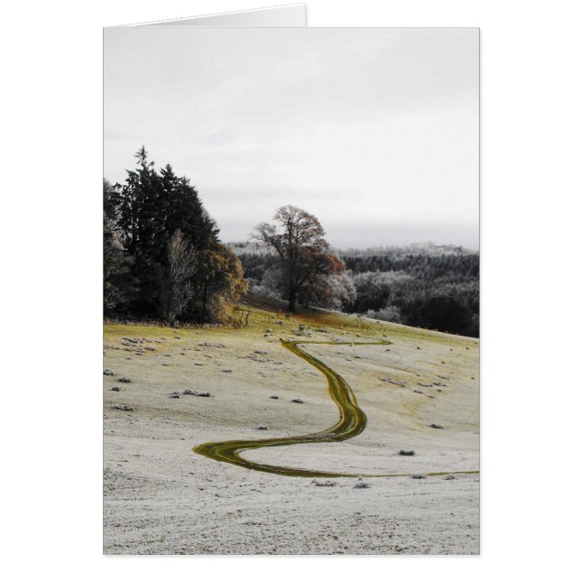Landschaftskarte (Vorne)