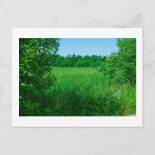Landschaftslandschaft Grüner Feldwald Postkarte