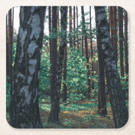 Landschaftslandschaft Wald Birkenbäume Rechteckiger Pappuntersetzer