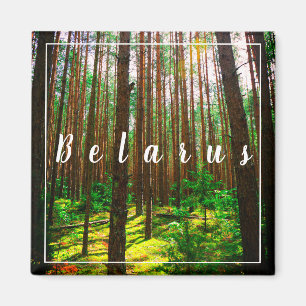 Landschaftslandschaft Wald Weißrussland Magnet