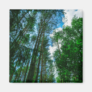 Landschaftslandschaft Wald Weißrussland Magnet