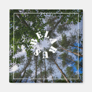 Landschaftslandschaft Wald Weißrussland Magnet