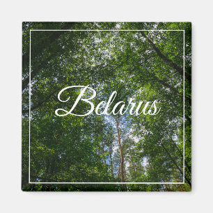 Landschaftslandschaft Wald Weißrussland Magnet