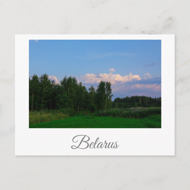 Landschaftslandschaft Wiese Belarus Postkarte (Vorderseite)