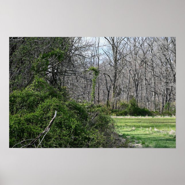 Landschaftspflege Foto Poster (Vorne)