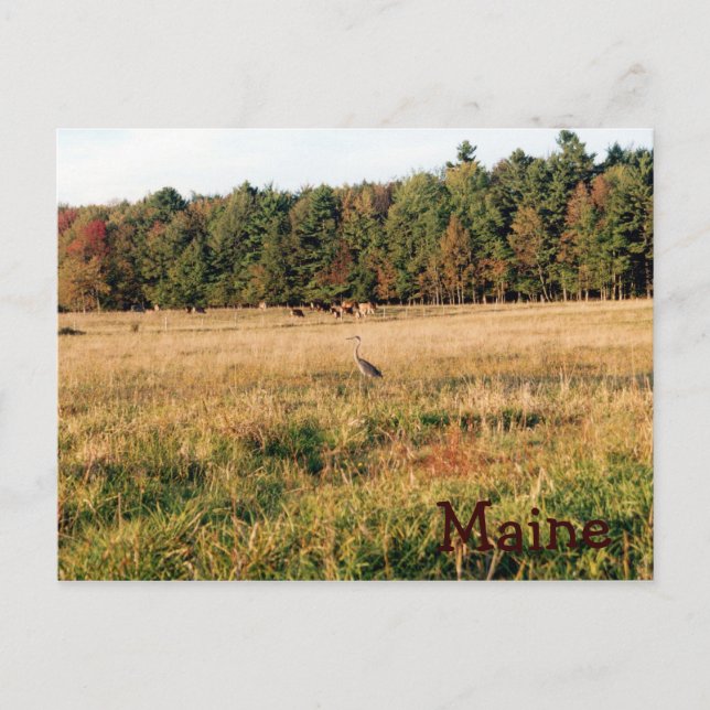 Landschaftspflege Postkarte (Vorderseite)