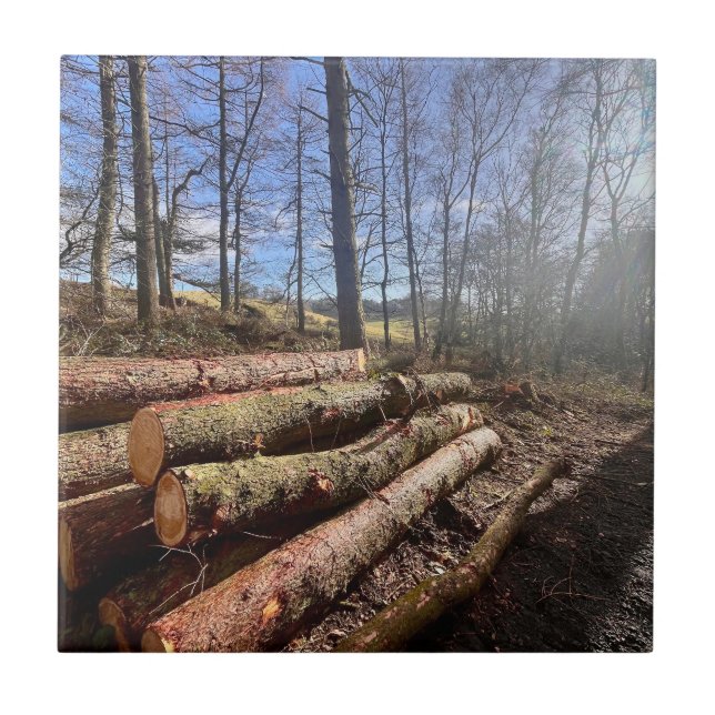 Landschaftsprotokolle.. Fliese (Vorderseite)